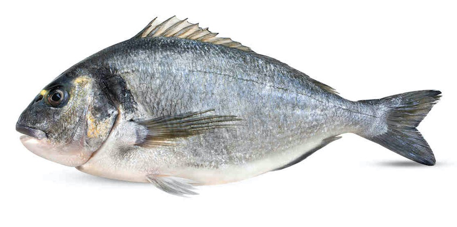 aranydurbincs (orada)